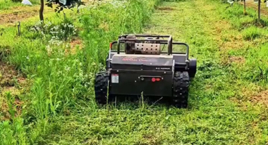 新农人用遥控割草机割草 效率大大提升
