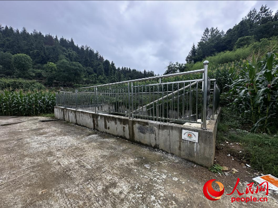 出现渗漏的洞口村高标准农田1号蓄水池。人民网记者 游天燚摄